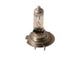 2070180 Flosser Multi Purpose Light Bulb