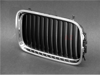 51138206610 Genuine BMW Grille; Front Right