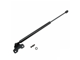613030 Tuff Support Hood Lift Support; Front