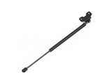 613363 Tuff Support Hood Lift Support; Front