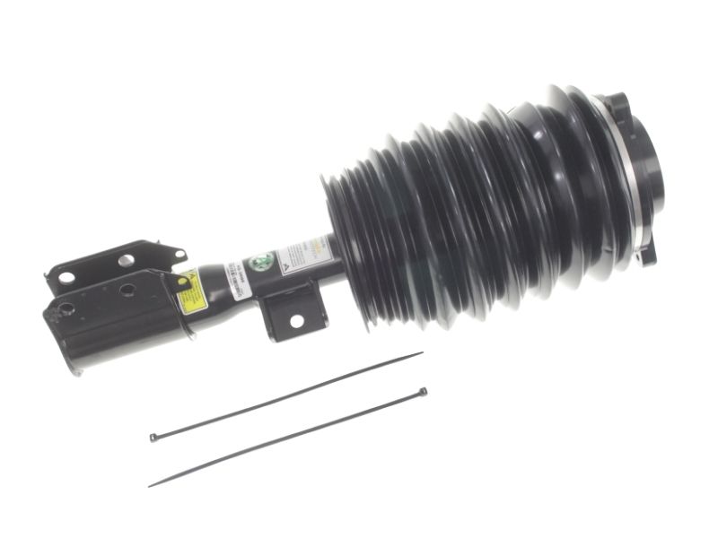 212320343864 Arnott Industries Air Suspension Strut
