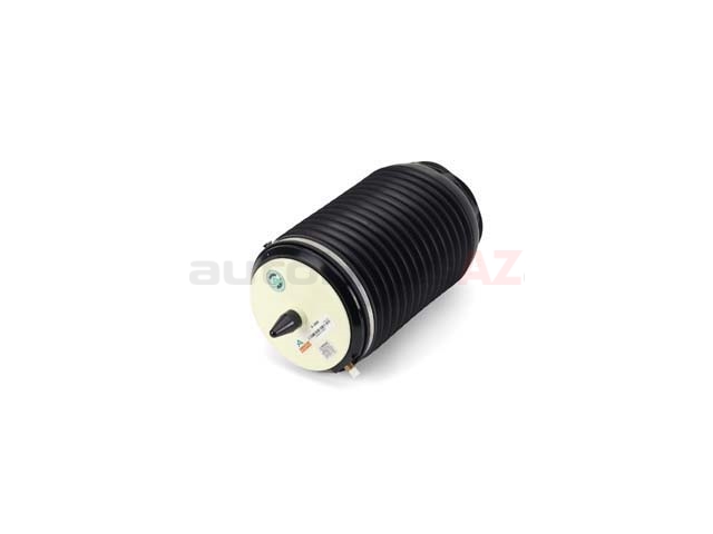 A3891 Arnott Industries Suspension Air Spring; Rear Right