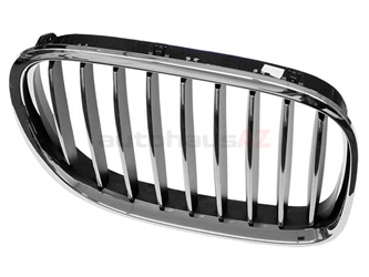 51117295298 Genuine BMW Grille; Front Right