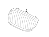 51117464484 Genuine BMW Grille; Right