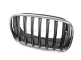 51137157688 Genuine BMW Grille; Front Right
