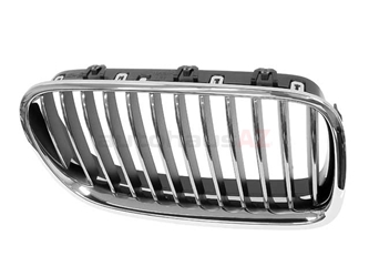51137203650 Genuine BMW Grille; Right