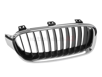 51137255412 Genuine BMW Grille; Front Right