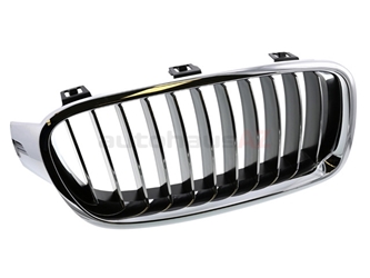51137263482 Genuine BMW Grille; Front Right