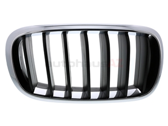 51137294486 Genuine BMW Grille; Front Right