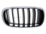 51137294486 Genuine BMW Grille; Front Right