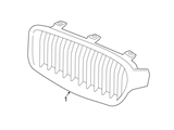 51137294810 Genuine BMW Grille; Front Right
