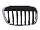 51137354824 Genuine BMW Grille; Front Right