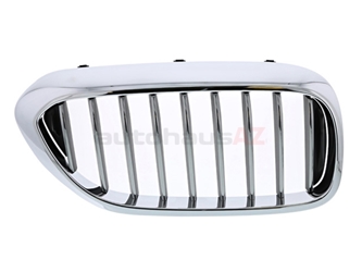 51137383520 Genuine BMW Grille; Front Right