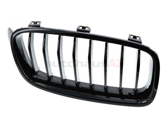 51712240778 Genuine BMW Grille; Front Right