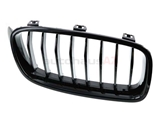 51712240778 Genuine BMW Grille; Front Right
