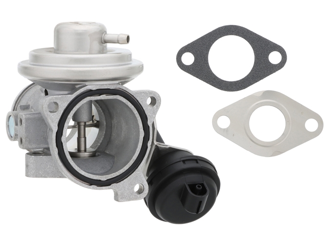 045131501L Borg Warner EGR Valve