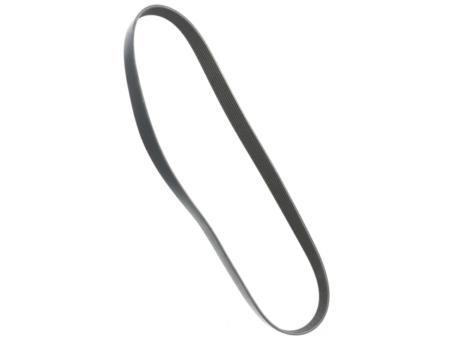 1139970192 Gates V Belt/Drive Belt; Supercharger