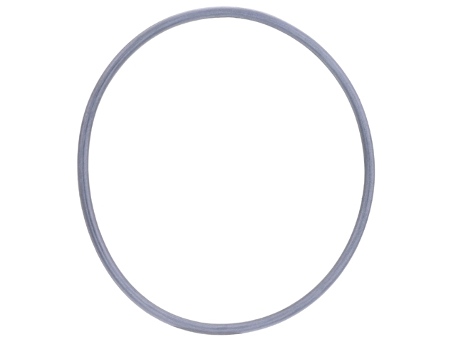 0A2311091A Getrag Clutch Release Bearing Guide O-Ring