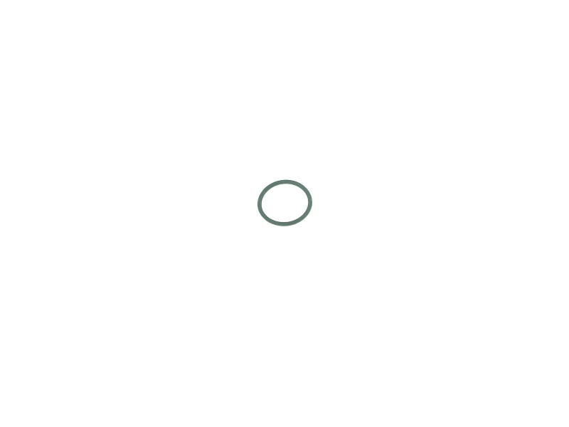 0169979945 Genuine Mercedes Camshaft Position Sensor O-Ring; Exhaust