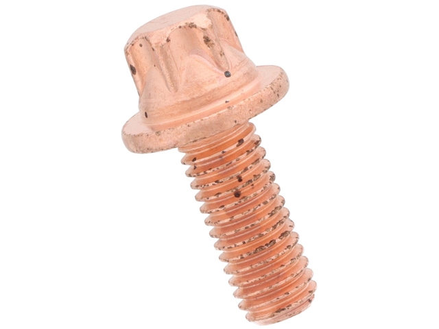 0009906703 Victor Reinz Bolt